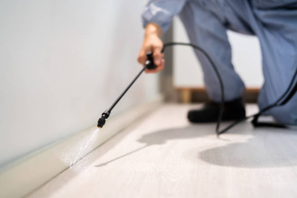 Bed Bug Pre-Treatment Preparation Assessment in Terrell Hills