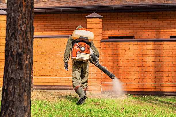 Bed Bug Clearance Verification and Documentation in Terrell Hills
